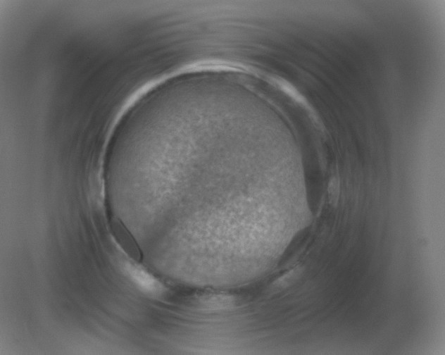 X0000081311372200701181851