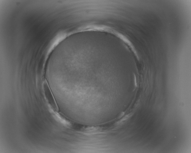 X0000081311373200701181851