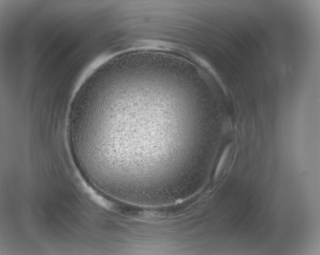 X0000081311379200701181851