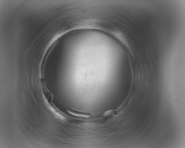 X0000081311380200701181851