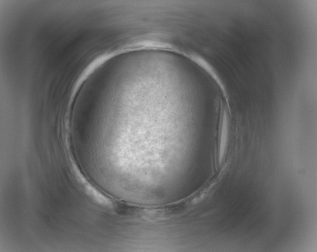 X0000081311381200701181851