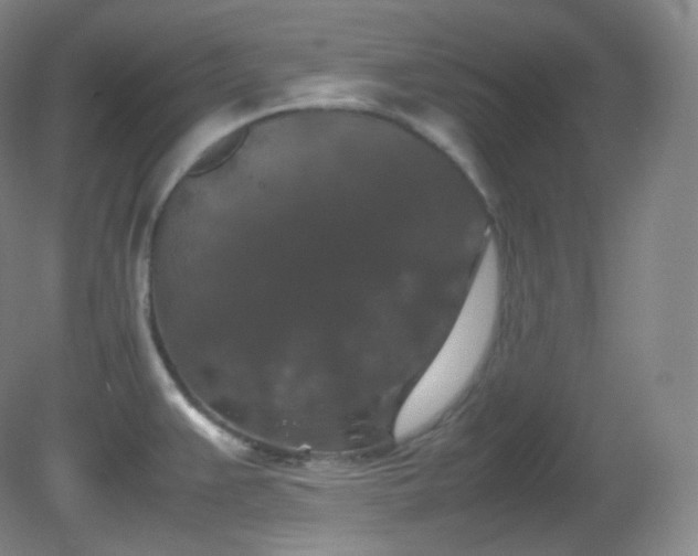 X0000081311383200701181851