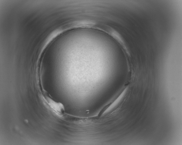 X0000081311384200701181851