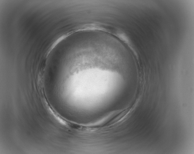 X0000081311385200701181851