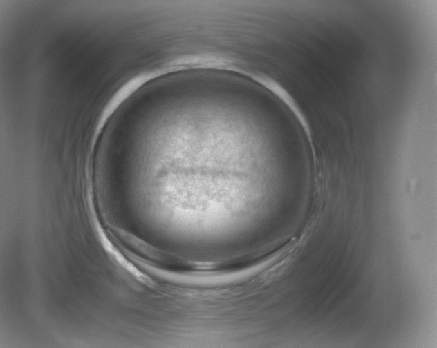 X0000081311389200701181850