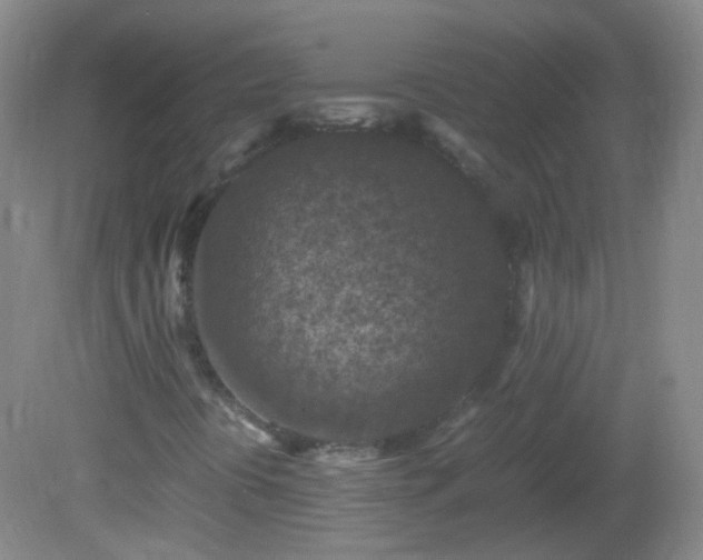 X0000081311394200701181850