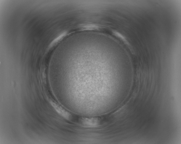 X0000081311403200701181850