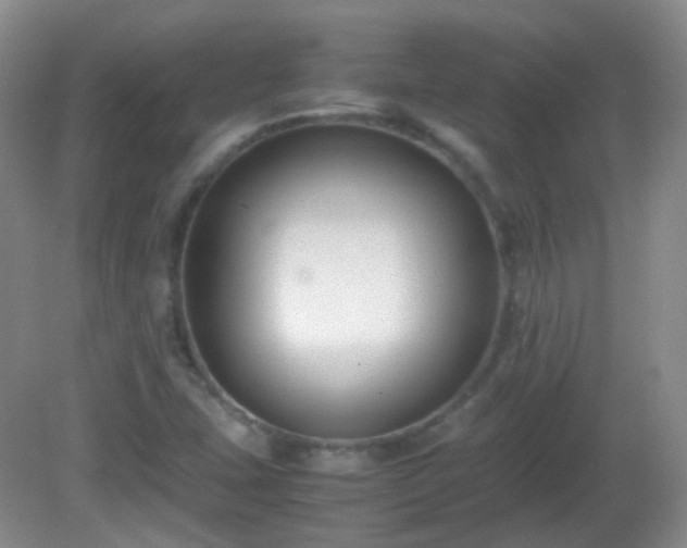 X0000081311407200701181850