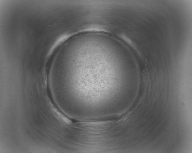 X0000081311408200701181850