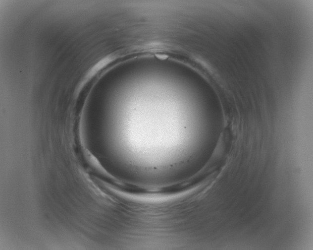 X0000081311410200701181850