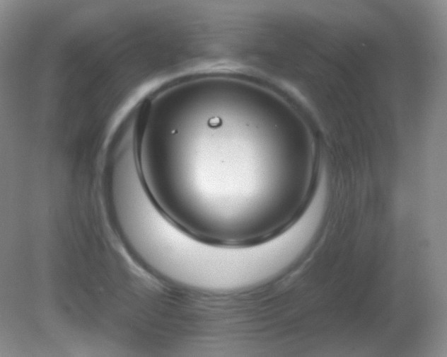 X0000081311414200701181850