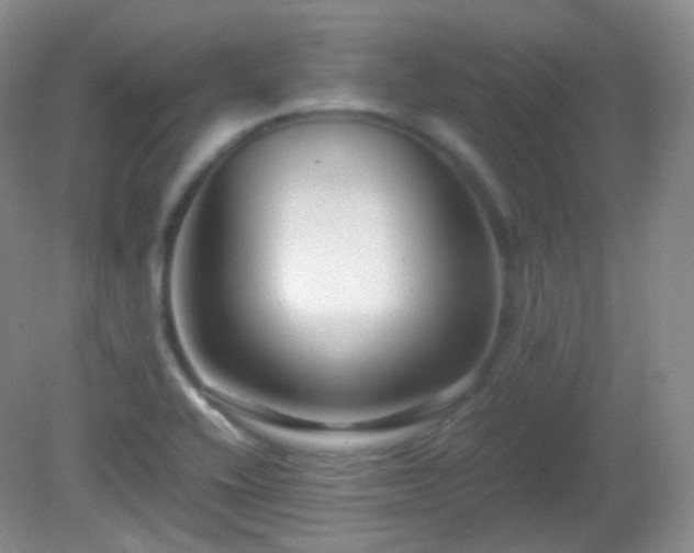 X0000081311416200701181850
