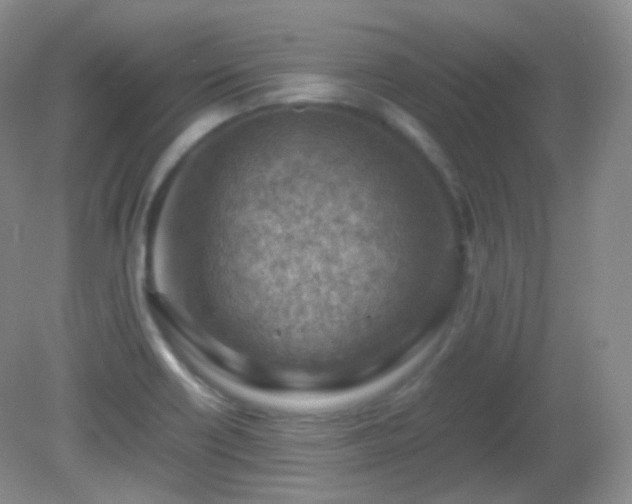 X0000081311418200701181850