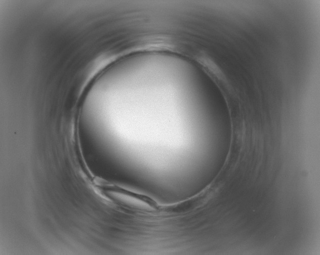 X0000081311420200701181850