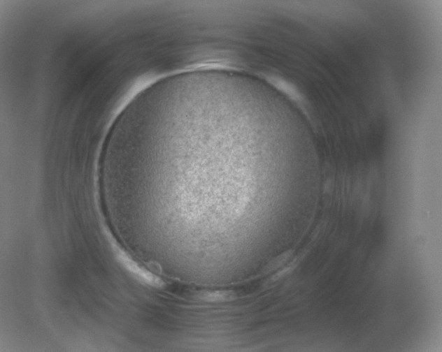 X0000081311423200701181850