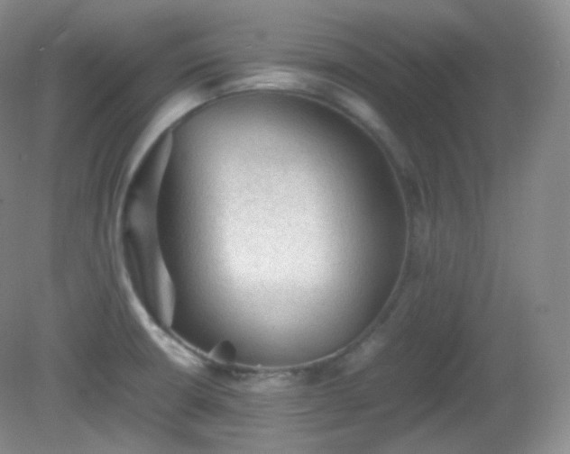 X0000081311426200701181850