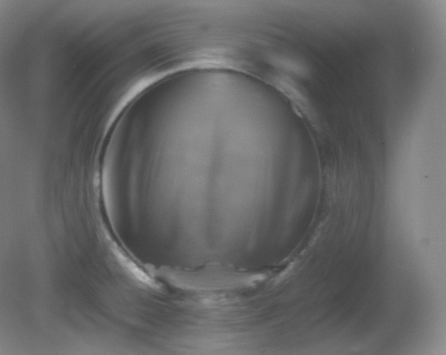 X0000081311428200701181850