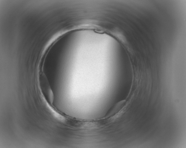 X0000081311430200701181850