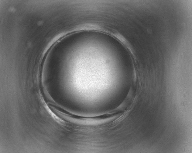 X0000081311438200701181850