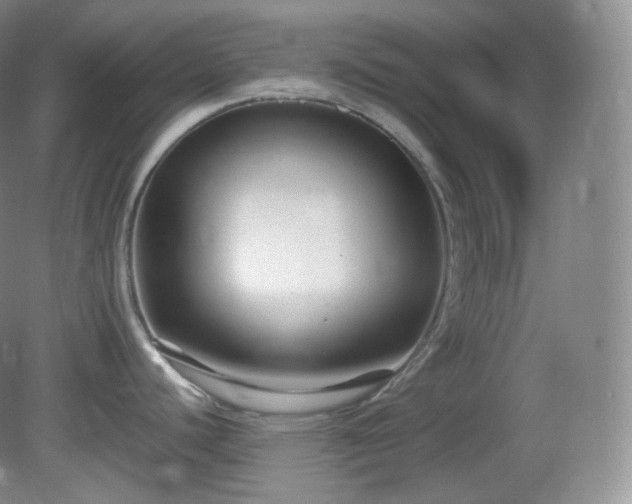 X0000081311440200701181850