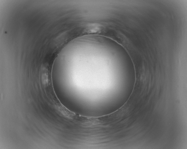X0000081311442200701181850