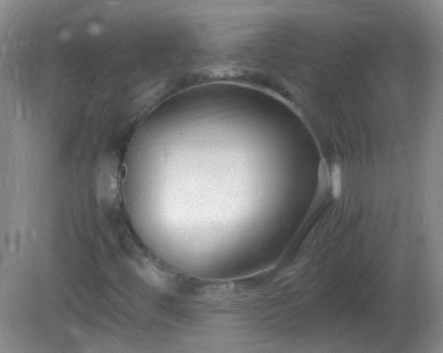 X0000081311444200701181850