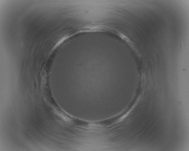 X0000081311449200701181849