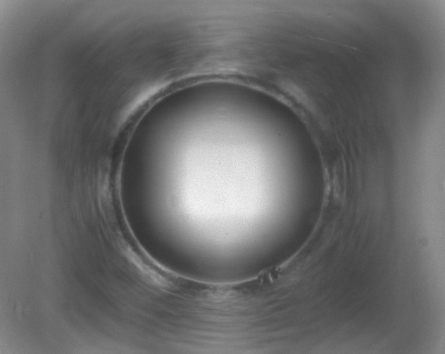 X0000081311452200701181849