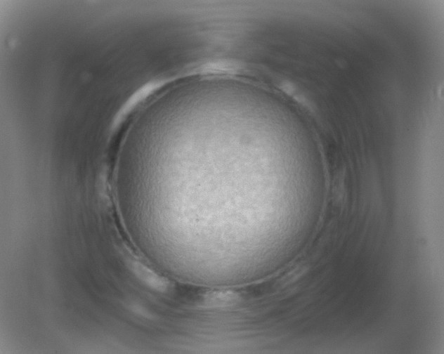 X0000081311454200701181849