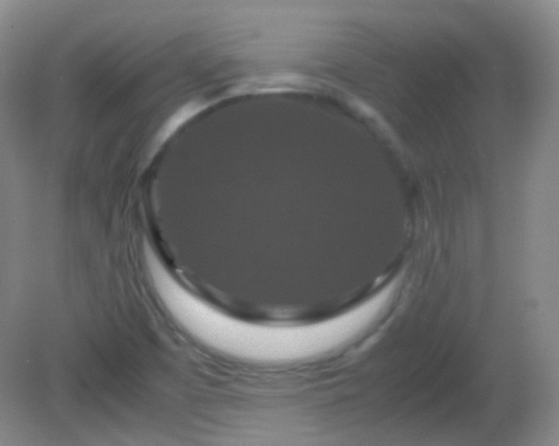 X0000081311457200701181849