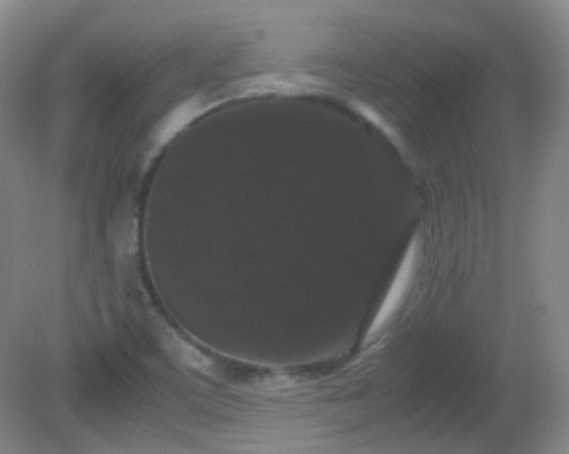 X0000081311459200701181849