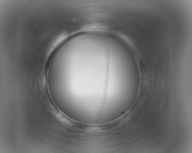 X0000081311462200701181849