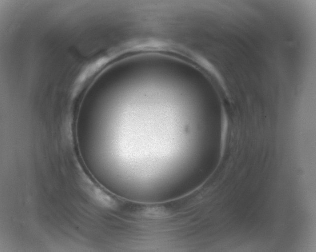 X0000081311464200701181849
