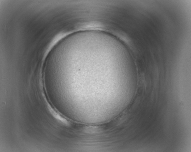 X0000081311470200701181849