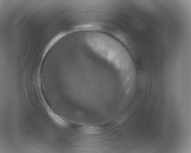 X0000081311474200701181849