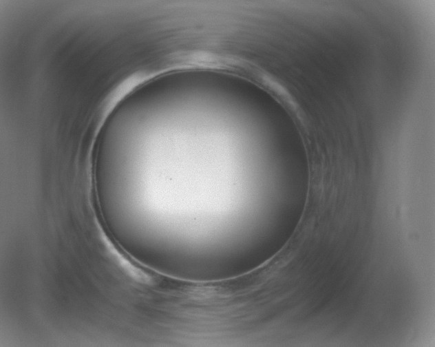 X0000081311479200701181849