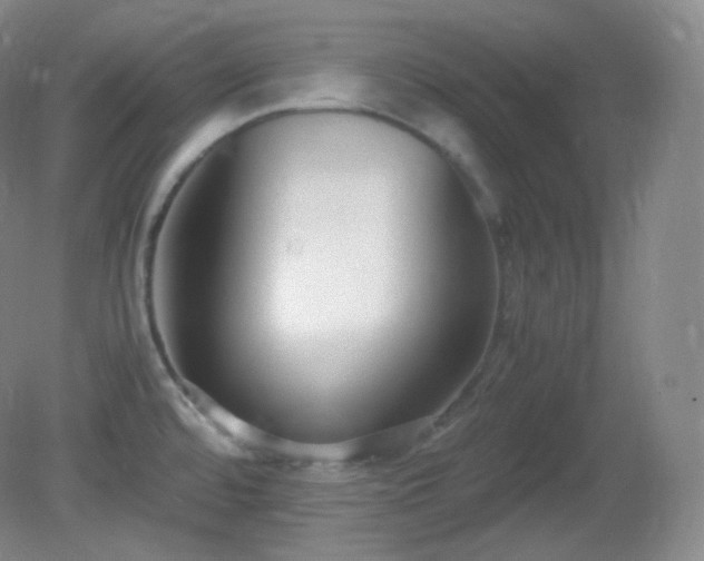X0000081311480200701181849