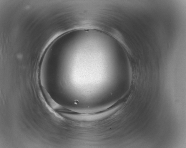 X0000081311484200701181849