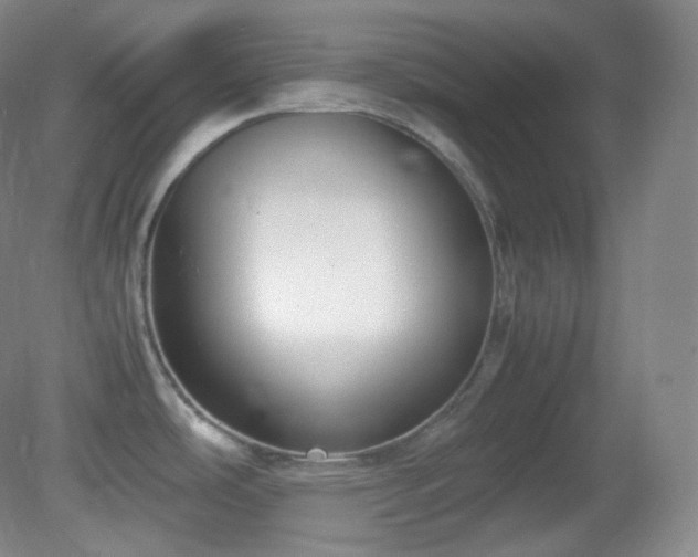 X0000081311486200701181849