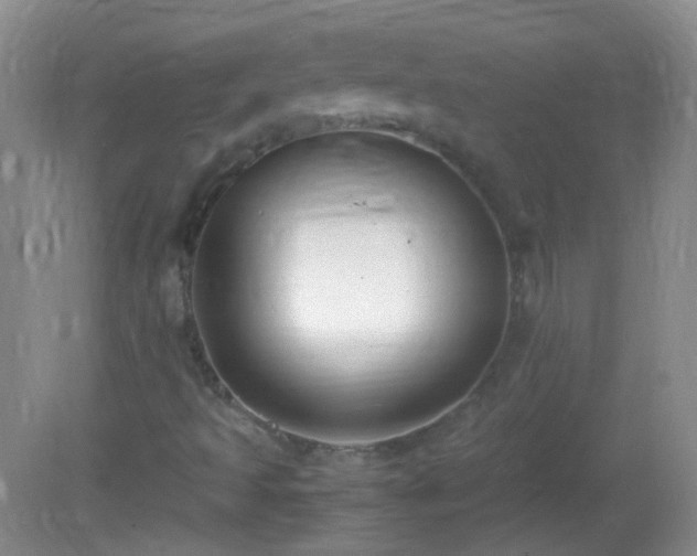 X0000081311493200701181848