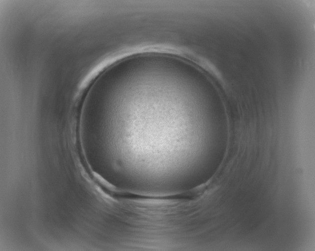 X0000081311504200701181848