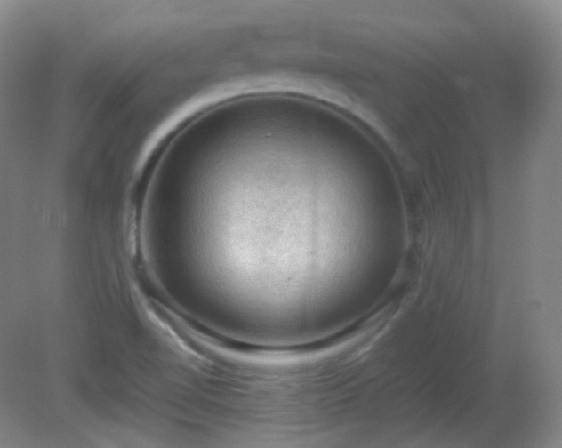 X0000081311510200701181848