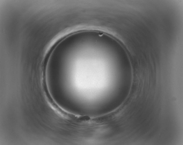 X0000081311511200701181848