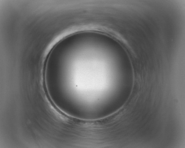 X0000081311512200701181848