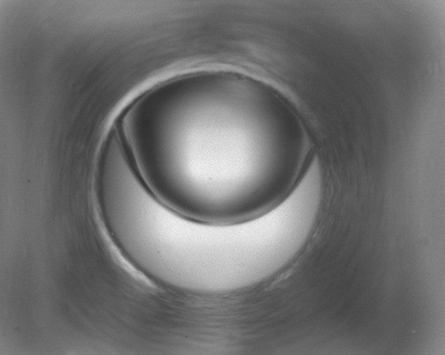 X0000081311518200701181848