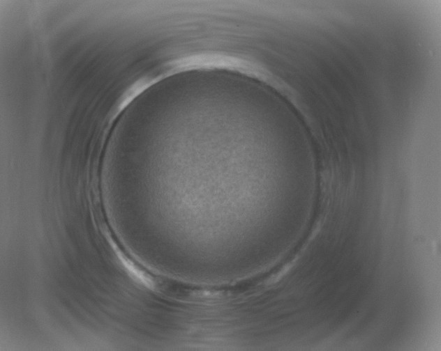 X0000081311521200701181849