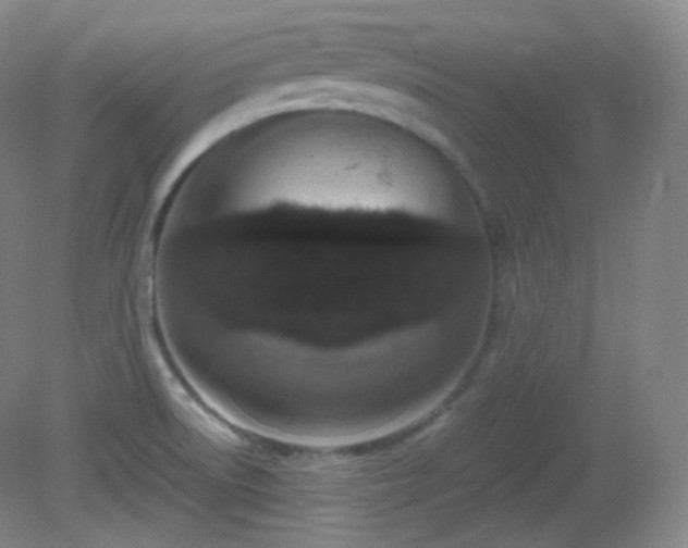 X0000081311522200701181849