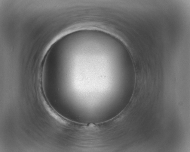 X0000081311526200701181849