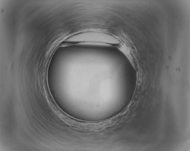 X0000081310001200701251754