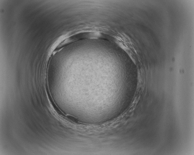 X0000081310003200701251754